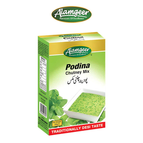 Podina Chutney Mix - Worldwide Foods - Alamgeer - Alamgeer - Worldwide Foods