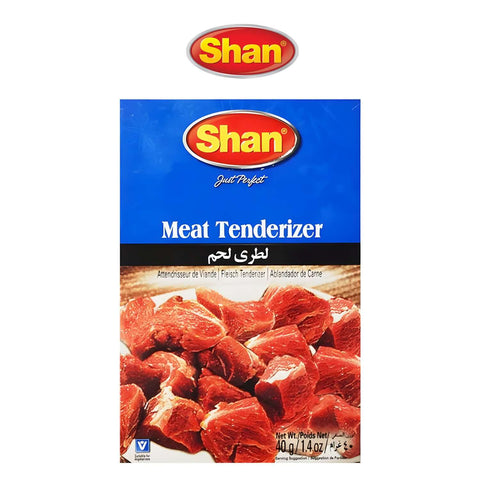 Meat Tenderizer - Worldwide Foods - Shan